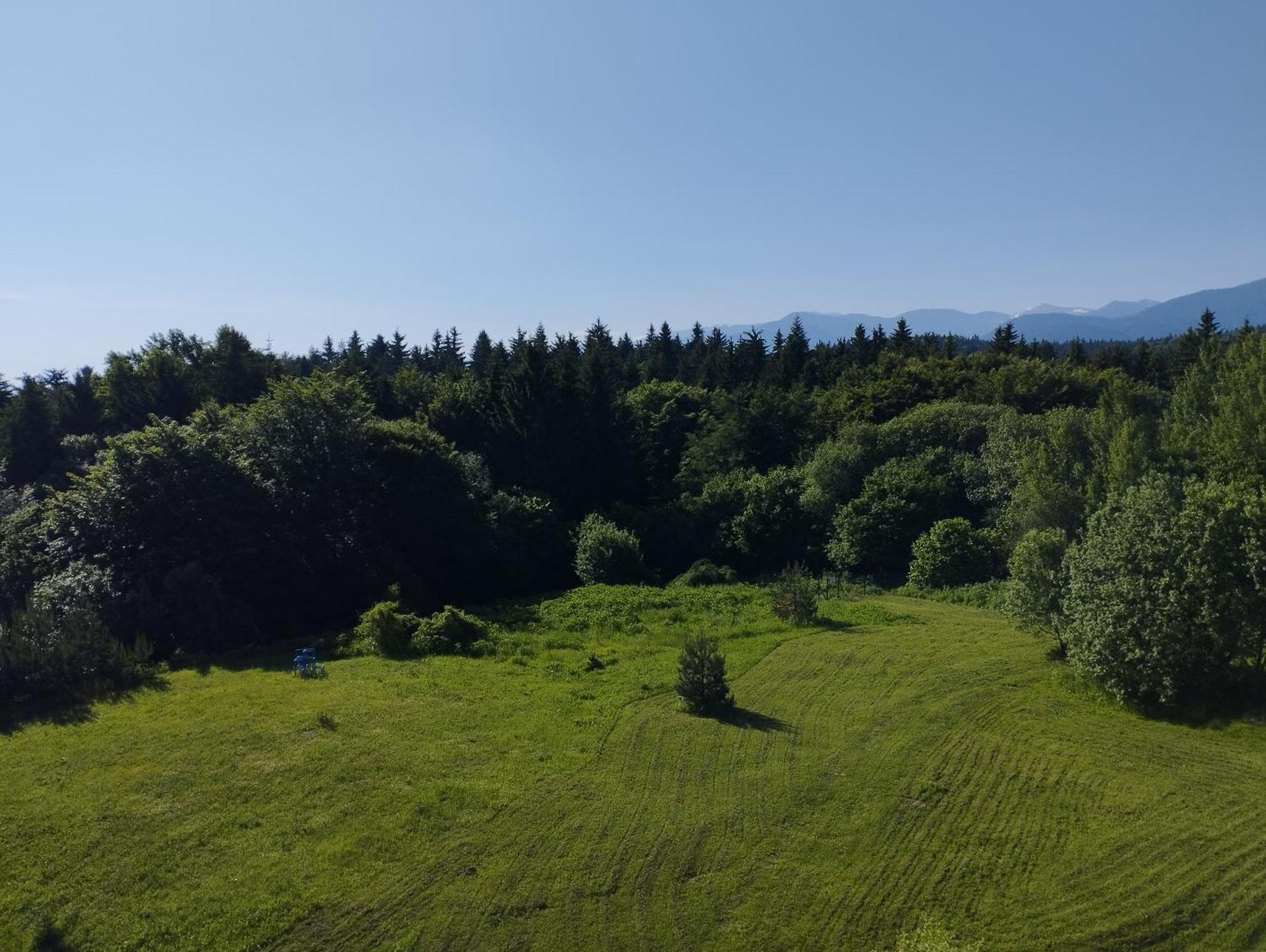 Chamkoria Chalets Боровец Екстер'єр фото