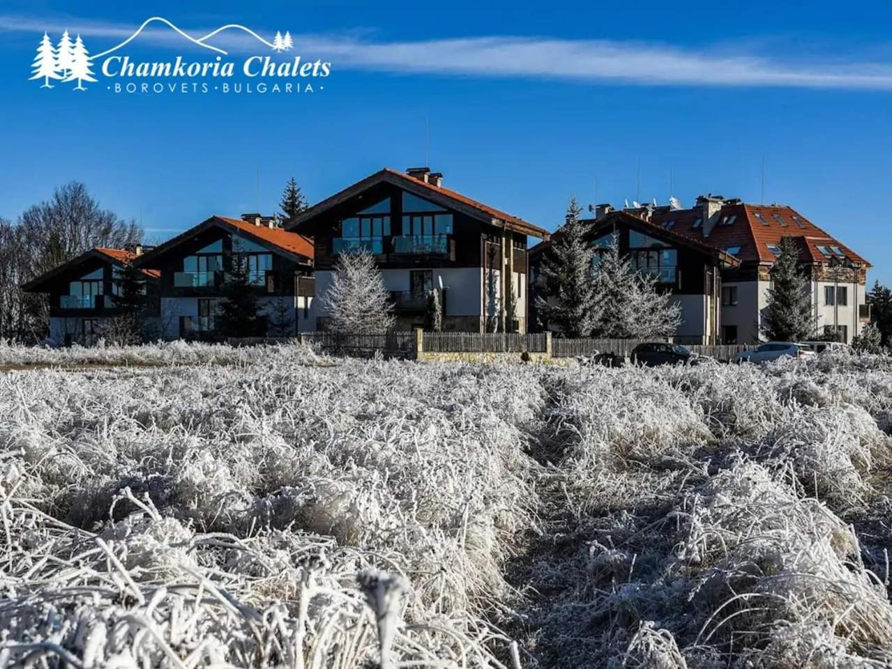 Chamkoria Chalets Боровец Екстер'єр фото